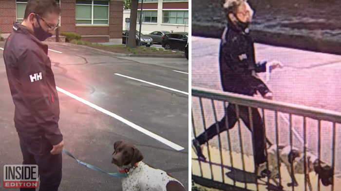 News Anchor Reporting On A Stolen Puppy Sees The Same Dog In The Street, Realizes It's The Kidnapper Walking Him News Anchor Reporting On A Stolen Puppy Sees The Same Dog In The Street, Realizes It's The Kidnapper Walking Him