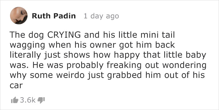 News Anchor Reporting On A Stolen Puppy Sees The Same Dog In The Street, Realizes It's The Kidnapper Walking Him News Anchor Reporting On A Stolen Puppy Sees The Same Dog In The Street, Realizes It's The Kidnapper Walking Him
