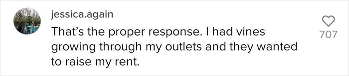 Landlord Wants To Increase The Rent, Tenant 'Sabotages' Apartment Showings By Putting Every Problem In Her Apartment On Display Landlord Wants To Increase The Rent, Tenant 'Sabotages' Apartment Showings By Putting Every Problem In Her Apartment On Display