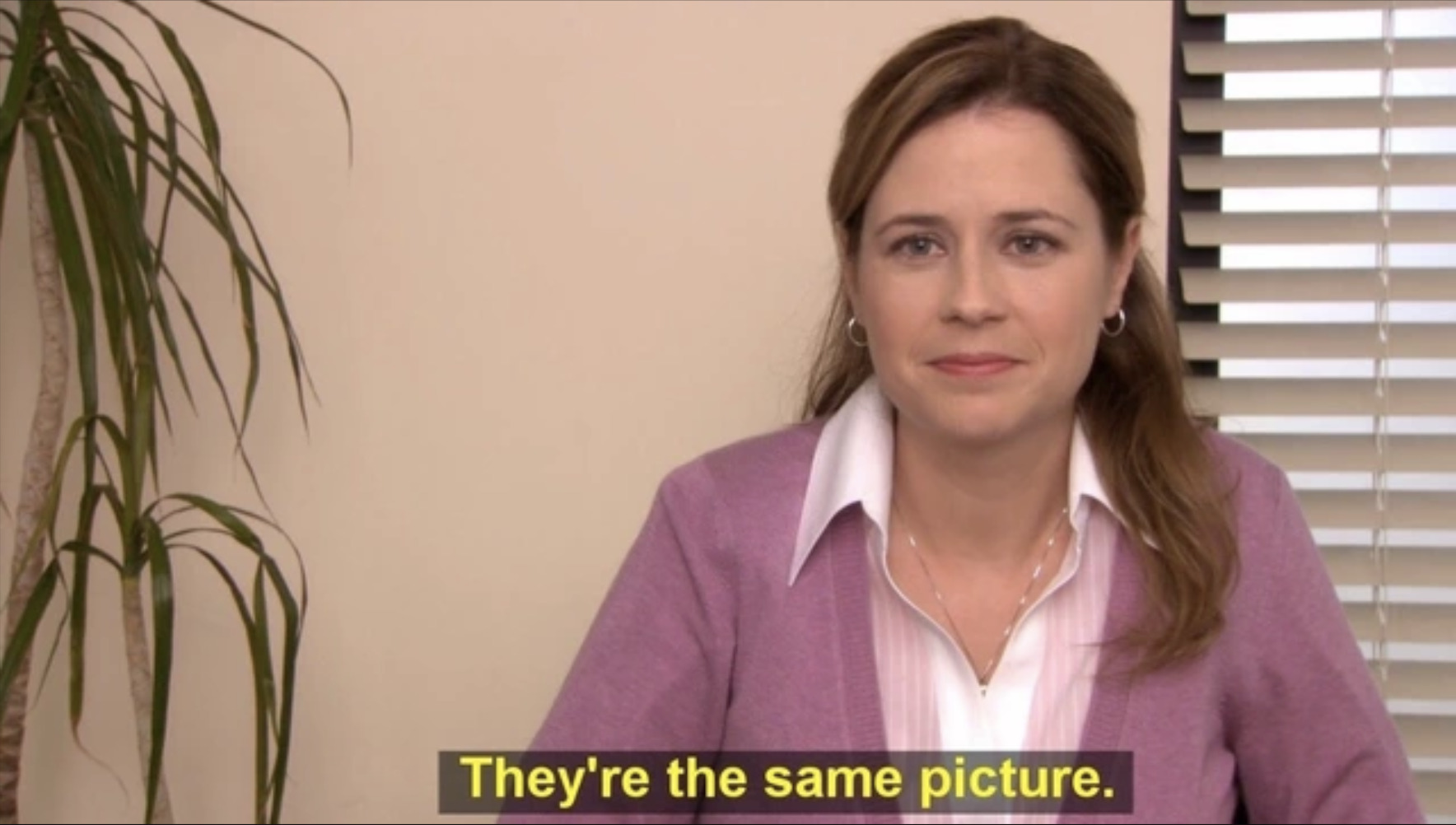 theyre-the-same-picture-pam-the-office-meme-6091b4759bf44-png.jpg