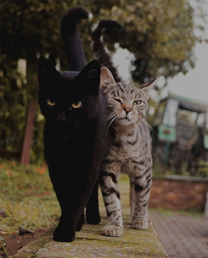 I Just Found This Pic In My Gallery