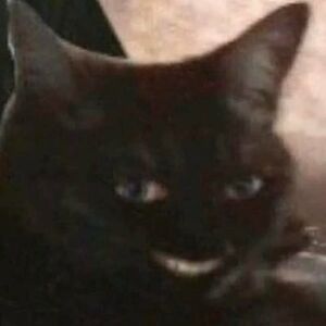 abualhaijamohammad199 avatar