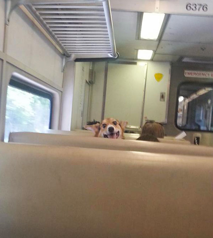 Girl On This Train Has Been Makin Eyes At Me The Whole Ride