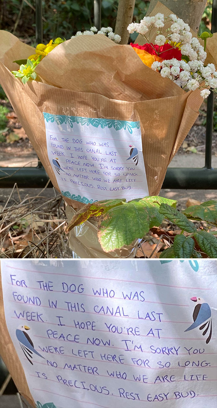 Thoughtful Flowers On Regents Canal For A Very Good Boy