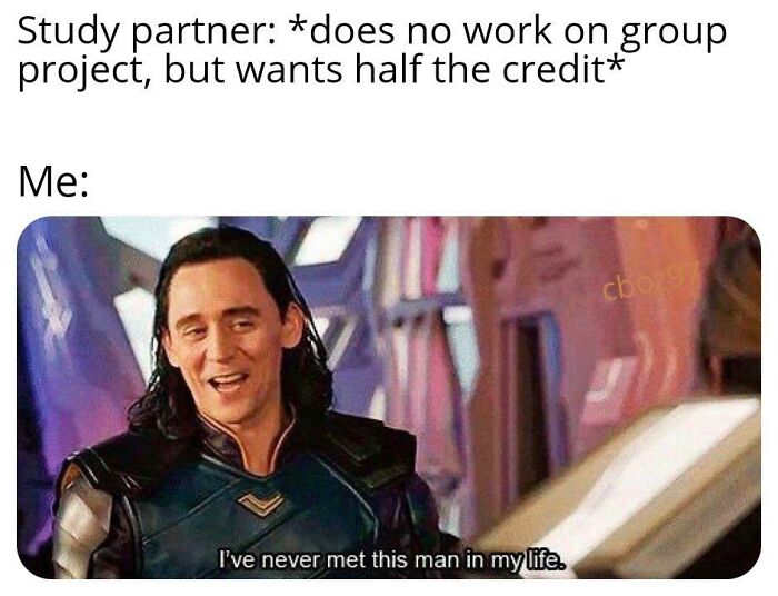 Loki Is My Spirit Animal