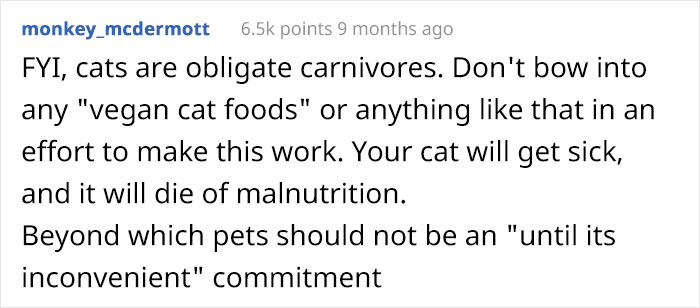 Man Gets An Ultimatum From His Vegan Girlfriend Who Demands He Give Away His Cat
