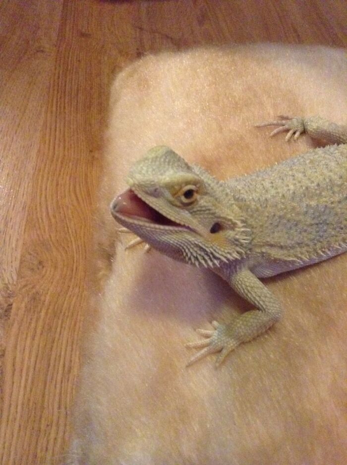 Raishan's Goofy, Happy Smile Never Fails To Cheer Me Up.