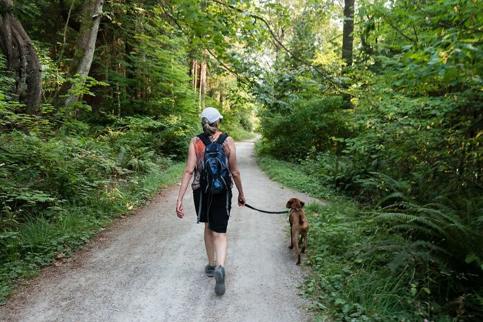 Person walking a dog on a forest trail surrounded by greenery, illustrating strange and weird laws from around the world.