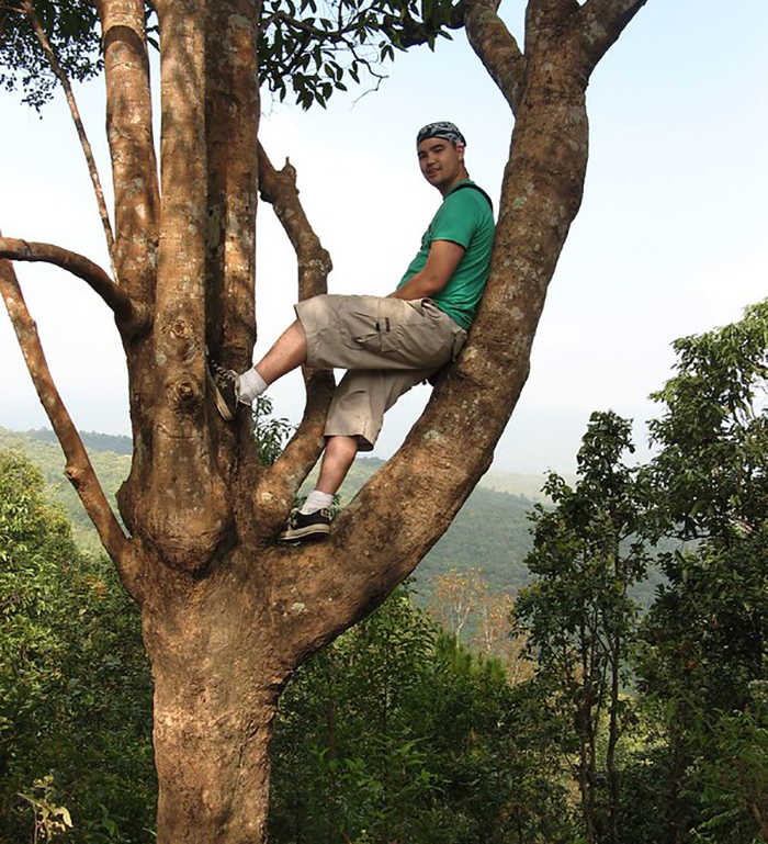Man wearing casual clothes sitting in a tree in a forest, illustrating weird laws from around the world that sound made up.