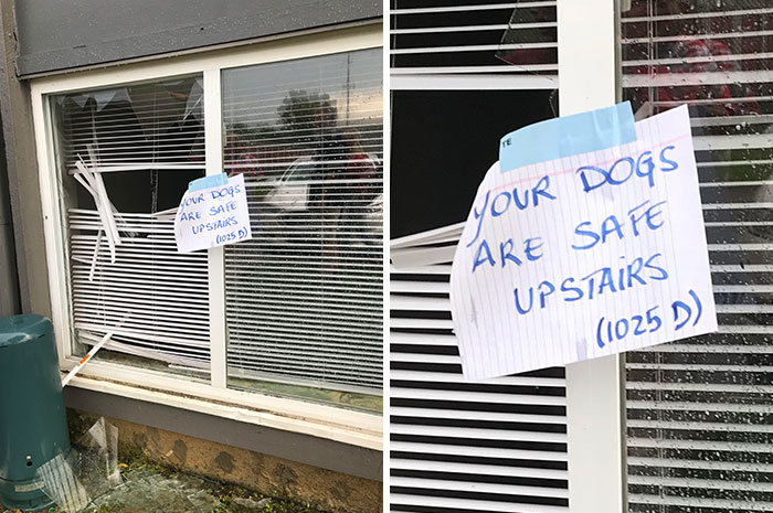 Apartment Complex Flooded At Least 3 Feet. Good Neighbors Saved Dogs Trapped Inside