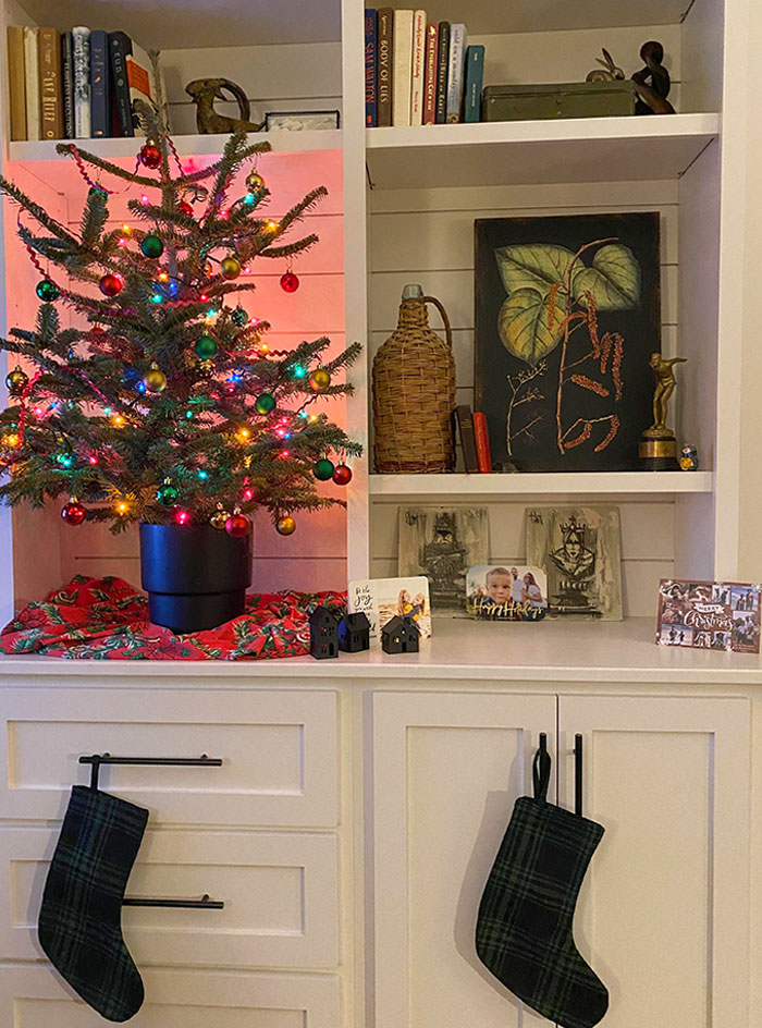 When My Neighbor Found Out We Were Covid Positive This Week, She Rushed Out And Got Us A Little Live Tree With Lights So We'd Have A Bit Of Christmas Cheer