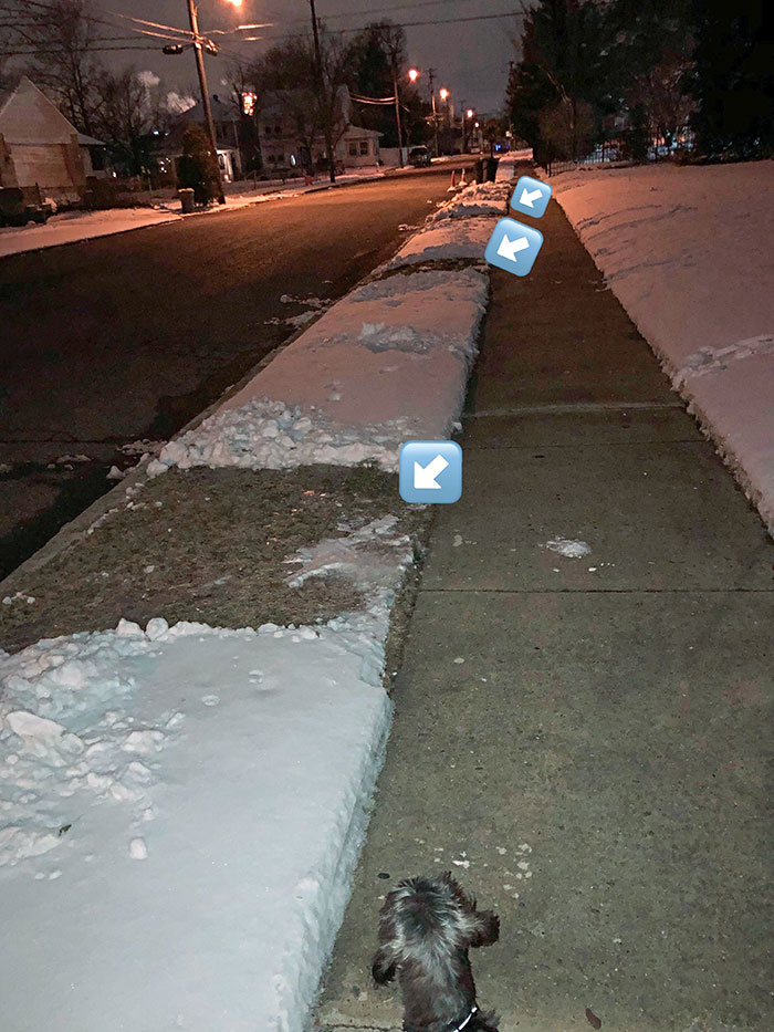After It Snowed Today, My Neighbor Shoveled The Snow Off Of His Grass In Car Length Intervals, So The Kids Don’t Have To Step In Snow To Get To The Sidewalk