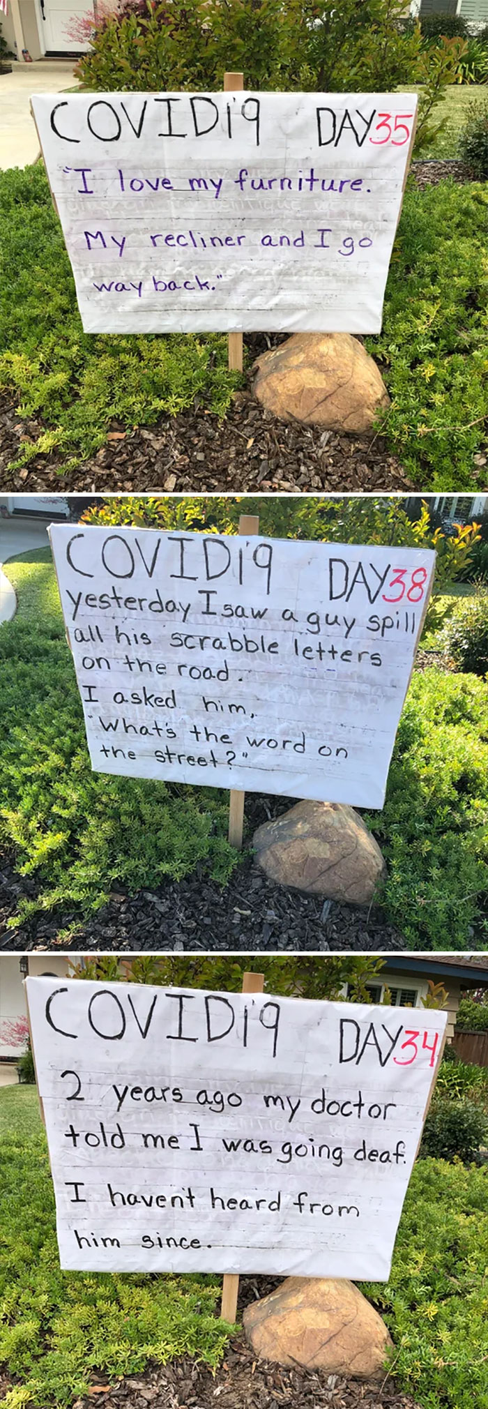 My Neighbors Front Lawn Dad Jokes