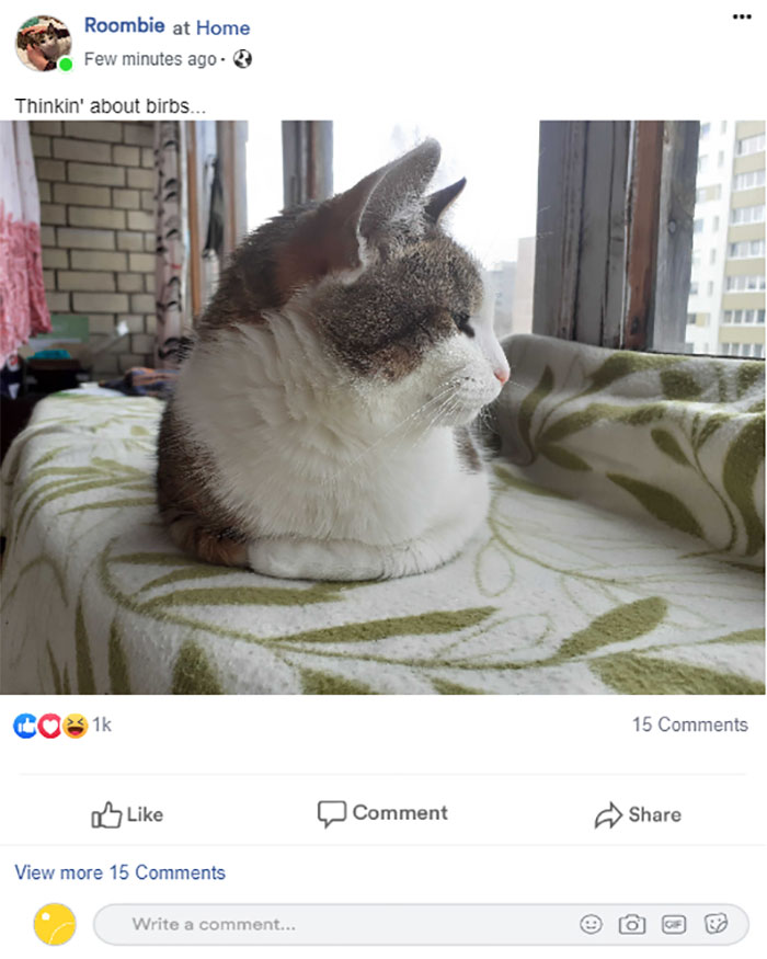 Not A Profile, But A Post