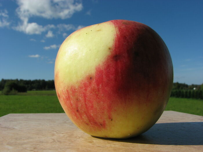 Zookeepers Anonymously Reveal The Darkest Zoo Secrets They Keep Shut Behind Bars (35 Pics)