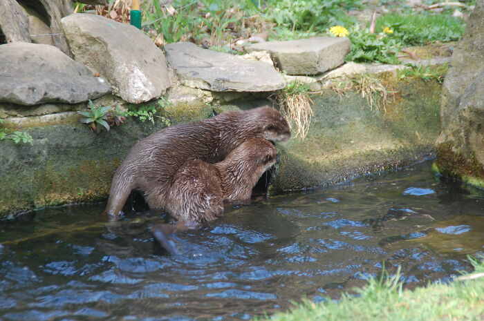 Zookeepers Anonymously Reveal The Darkest Zoo Secrets They Keep Shut Behind Bars (35 Pics)