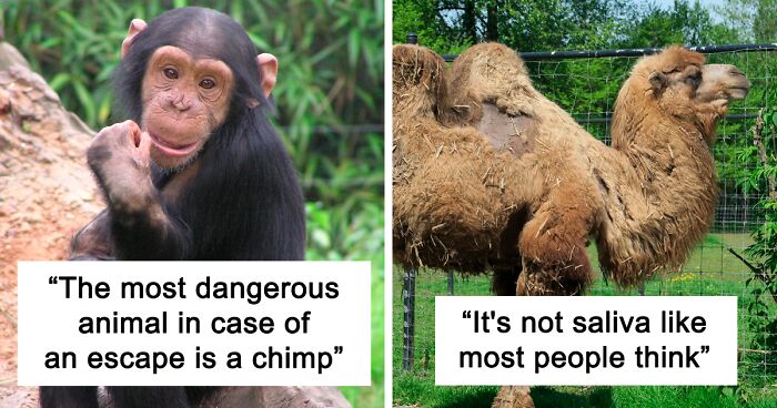Zookeepers Anonymously Reveal The Darkest Zoo Secrets They Keep Shut Behind Bars (35 Pics)