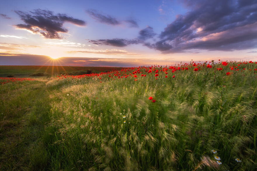 This Is How Spring Looks Like In Romania In My 21 Photos