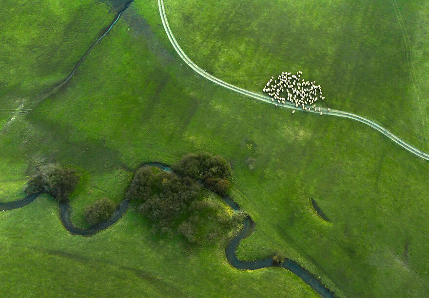 This Is How Spring Looks Like In Romania In My 21 Photos