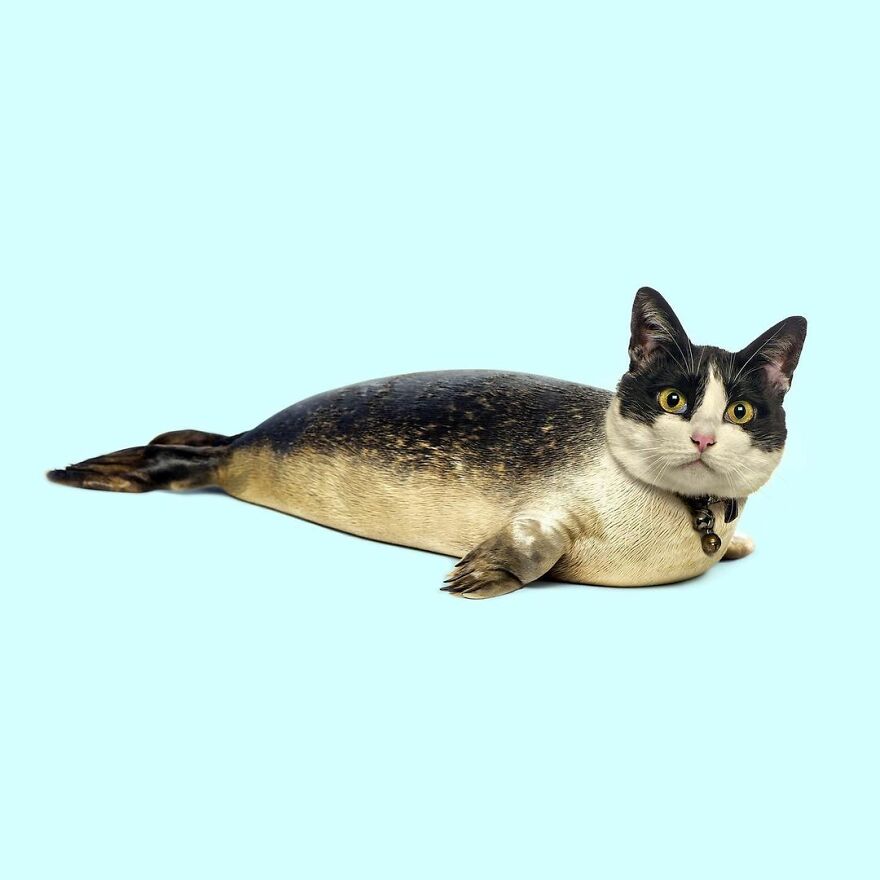 Artist Mixes Animals And Creates The Most Surreal Hybrids You've Ever Seen ( 151 Pics)