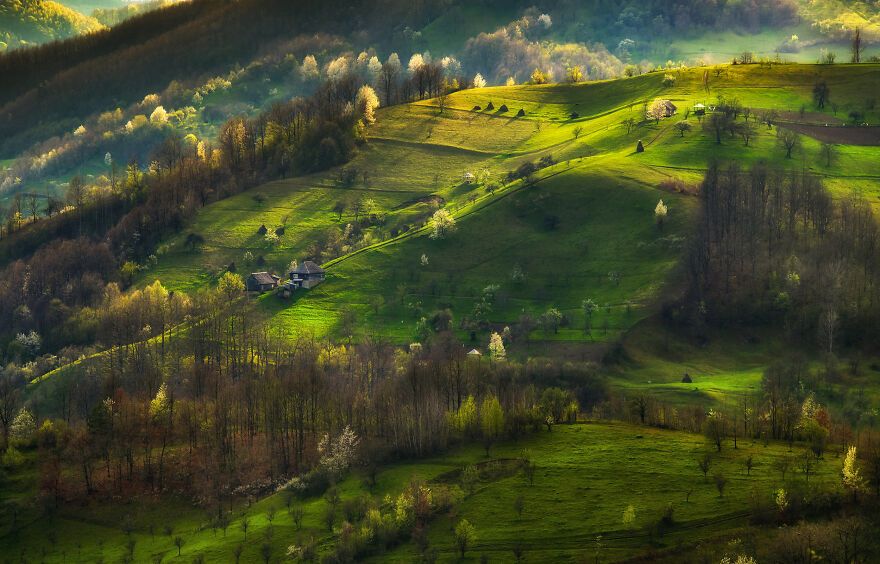 This Is How Spring Looks Like In Romania In My 21 Photos