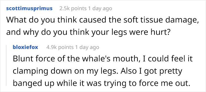 Lobster-Diver-Survive-Swallowed-Whale