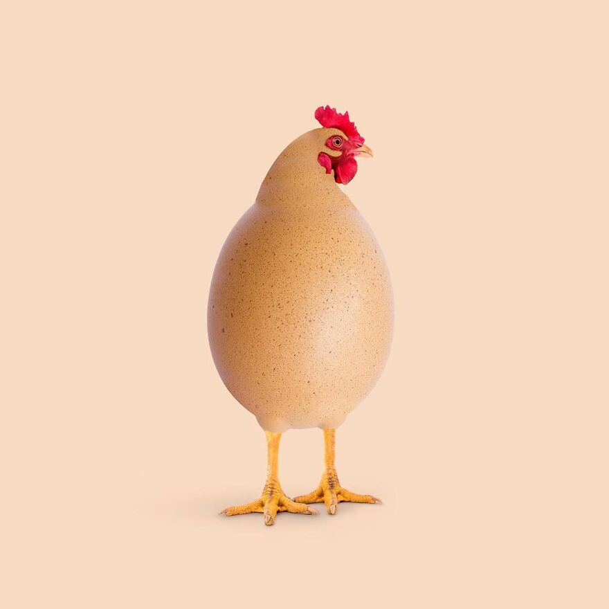 Artist Mixes Animals And Creates The Most Surreal Hybrids You've Ever Seen ( 151 Pics)