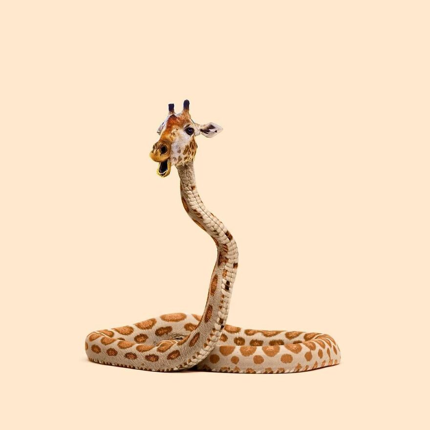 Artist Mixes Animals And Creates The Most Surreal Hybrids You've Ever Seen ( 151 Pics)