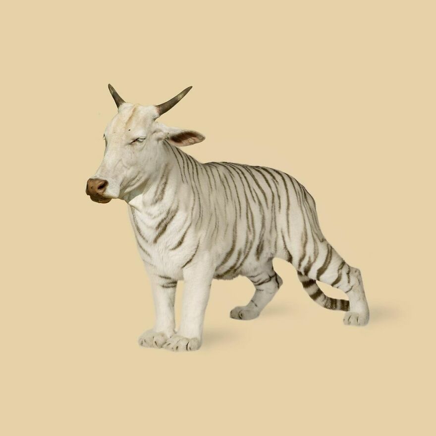 Artist Mixes Animals And Creates The Most Surreal Hybrids You've Ever Seen ( 151 Pics)