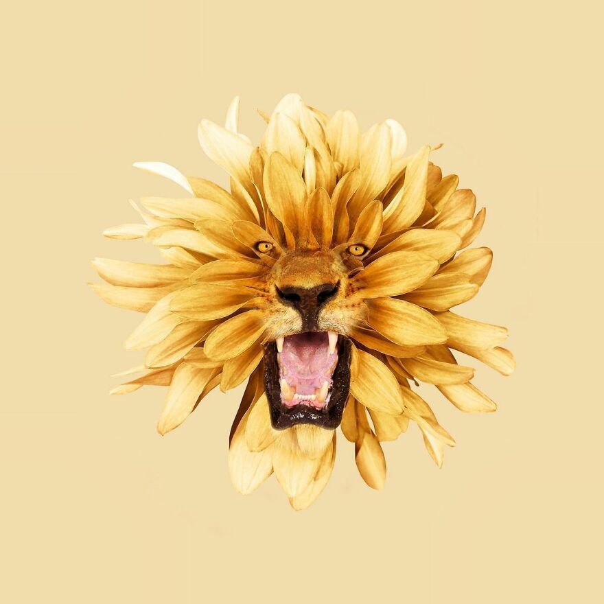 Artist Mixes Animals And Creates The Most Surreal Hybrids You've Ever Seen ( 151 Pics)