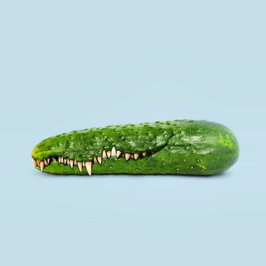 Artist Mixes Animals And Creates The Most Surreal Hybrids You've Ever Seen ( 151 Pics)