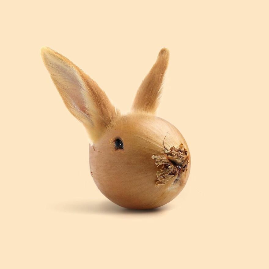 Artist Mixes Animals And Creates The Most Surreal Hybrids You've Ever Seen ( 151 Pics)