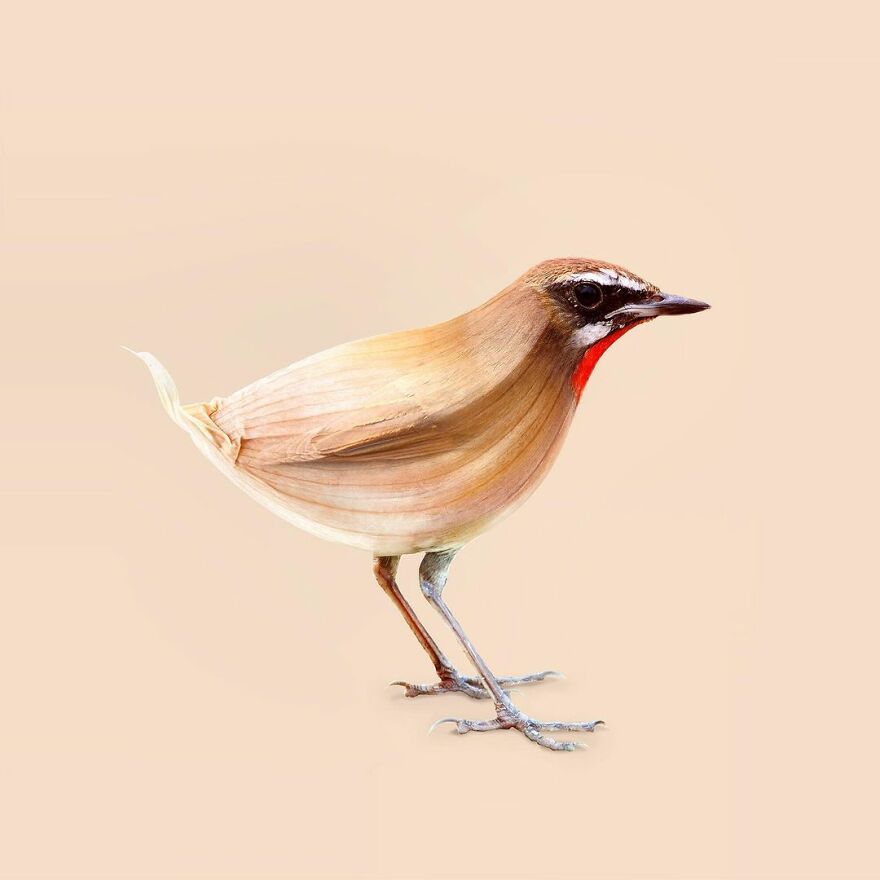 Artist Mixes Animals And Creates The Most Surreal Hybrids You've Ever Seen ( 151 Pics)