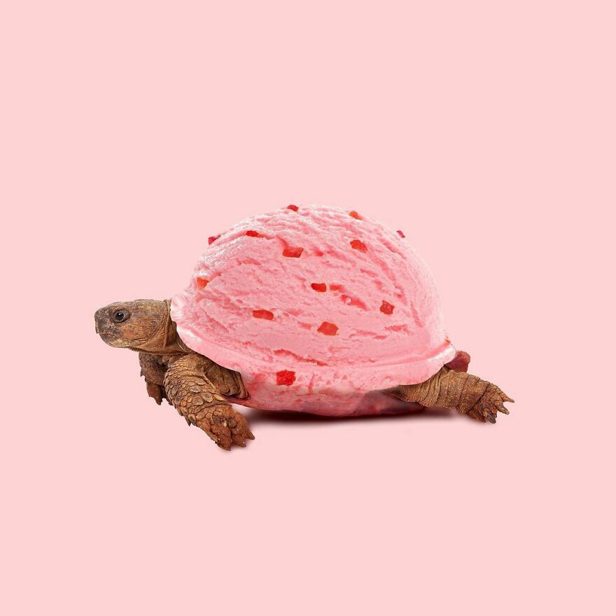 Artist Mixes Animals And Creates The Most Surreal Hybrids You've Ever Seen ( 151 Pics)