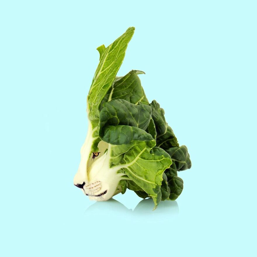 Artist Mixes Animals And Creates The Most Surreal Hybrids You've Ever Seen ( 151 Pics)