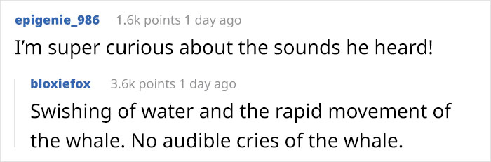 Lobster-Diver-Survive-Swallowed-Whale