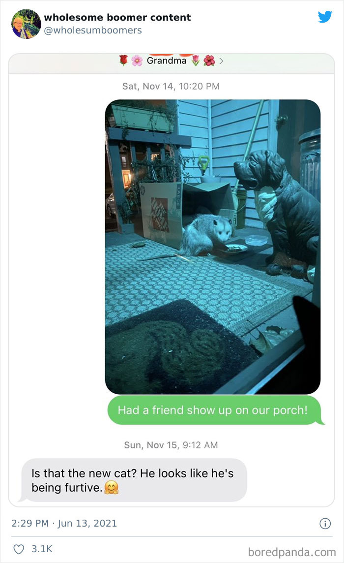 Wholesome-Boomer-Content