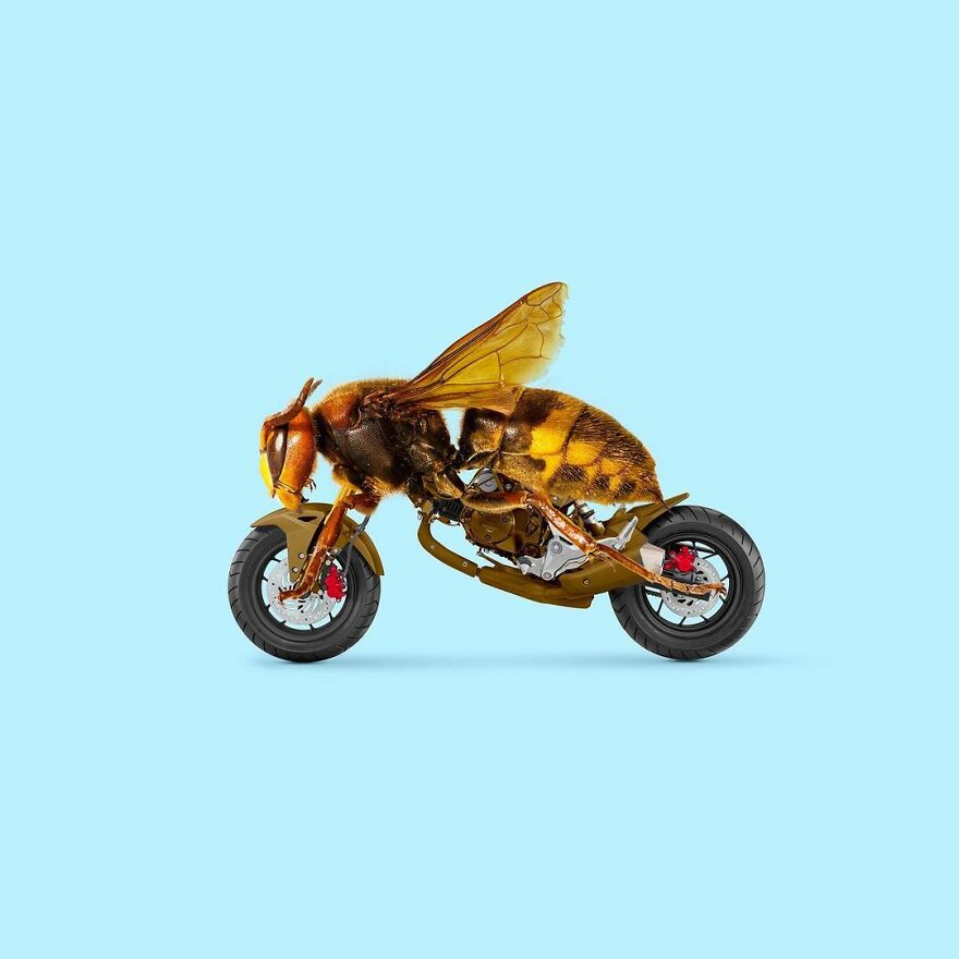 Artist Mixes Animals And Creates The Most Surreal Hybrids You've Ever Seen ( 151 Pics)