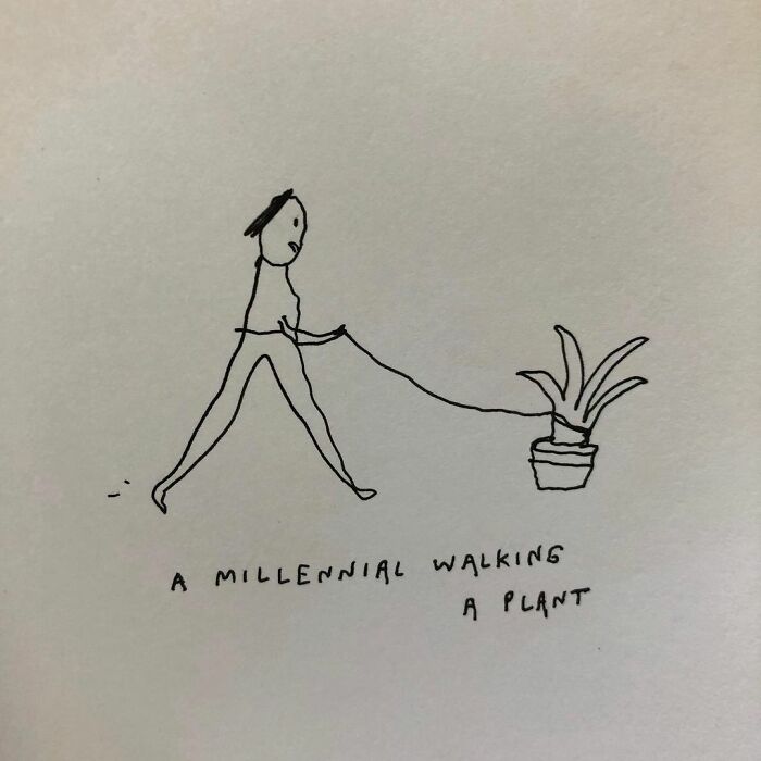 Liana Finck Illustrations