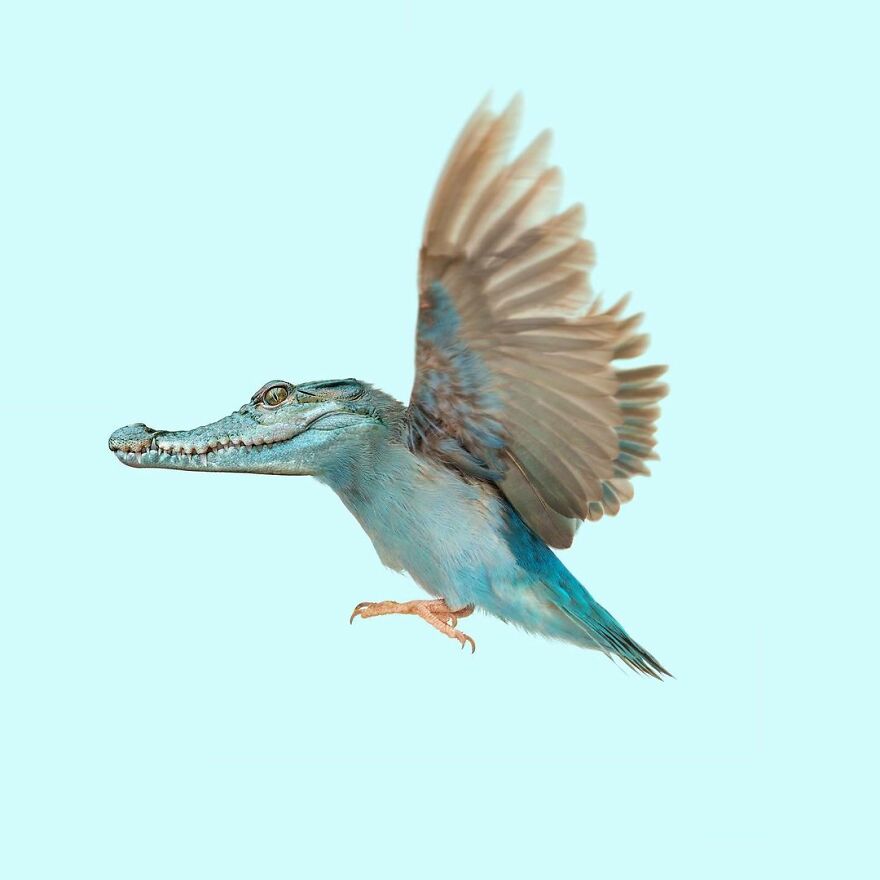 Artist Mixes Animals And Creates The Most Surreal Hybrids You've Ever Seen ( 151 Pics)
