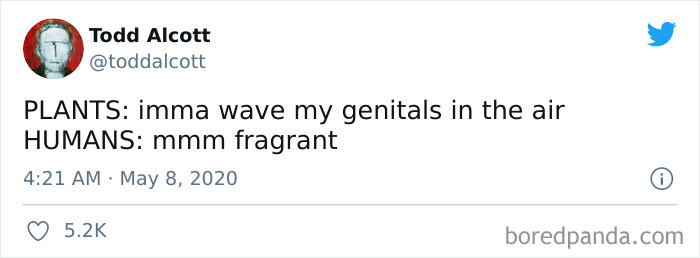 Thanks, I Hate Spring