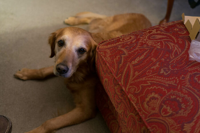 40 Popular Sayings Getting Roasted By People Online For Being False