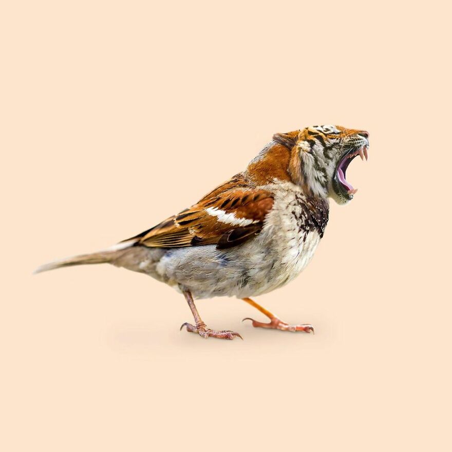Artist Mixes Animals And Creates The Most Surreal Hybrids You've Ever Seen ( 151 Pics)