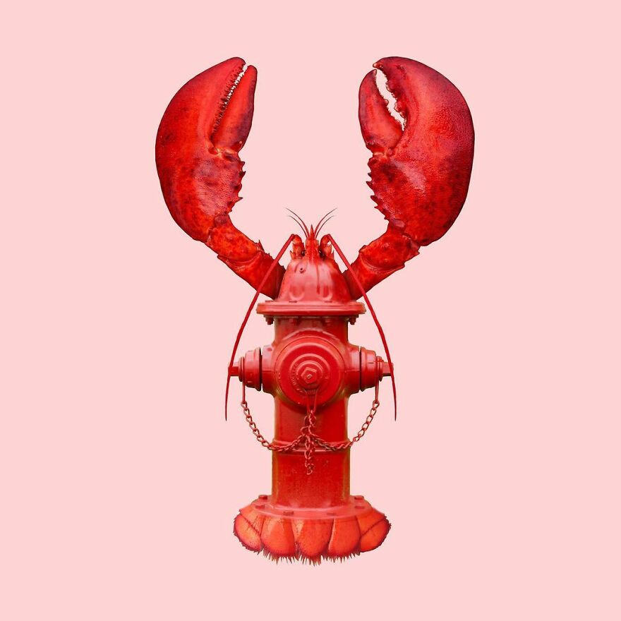 Artist Mixes Animals And Creates The Most Surreal Hybrids You've Ever Seen ( 151 Pics)