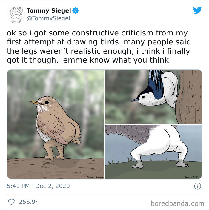 Thanks I Hate Birds With Legs