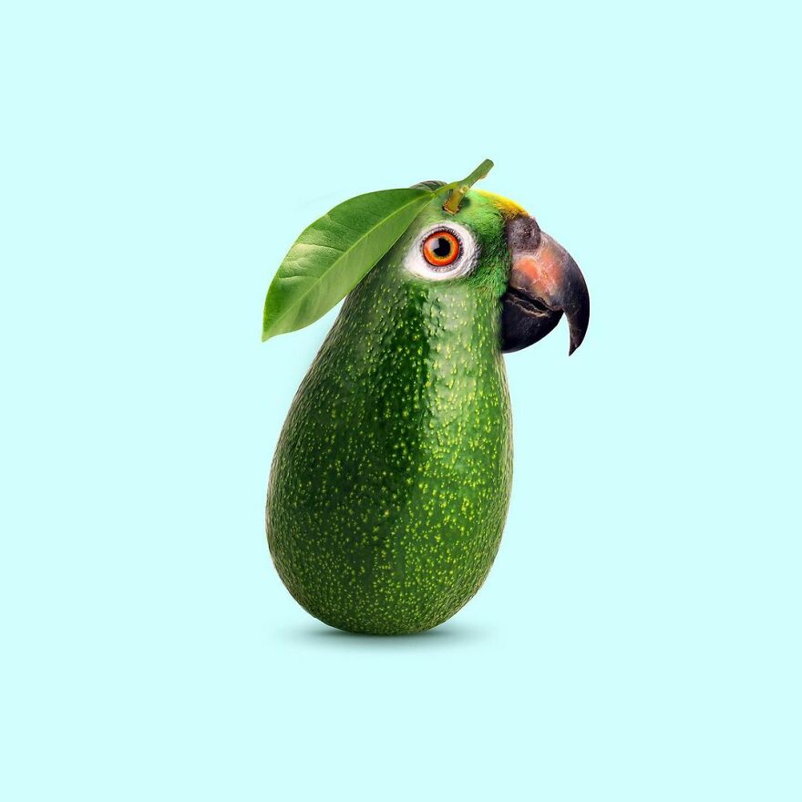 Artist Mixes Animals And Creates The Most Surreal Hybrids You've Ever Seen ( 151 Pics)