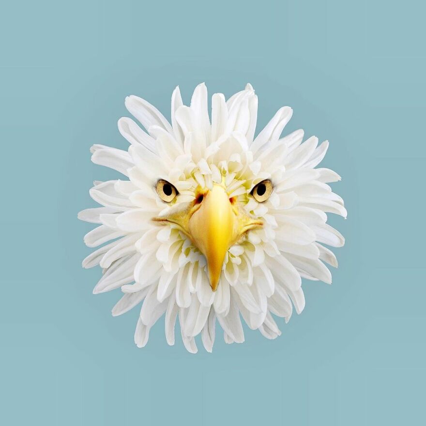 Artist Mixes Animals And Creates The Most Surreal Hybrids You've Ever Seen ( 151 Pics)