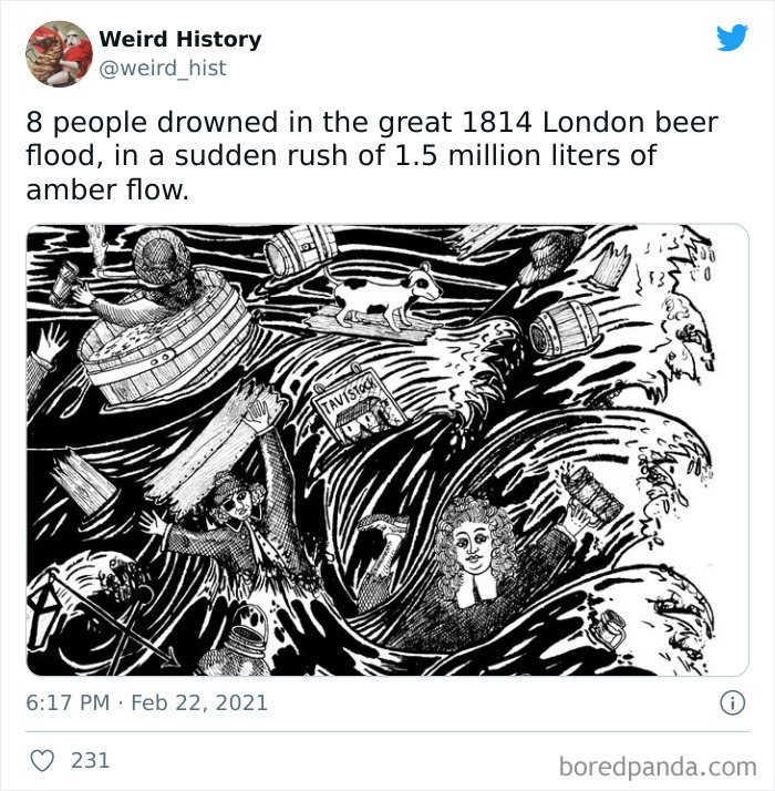 Interesting-Weird-History