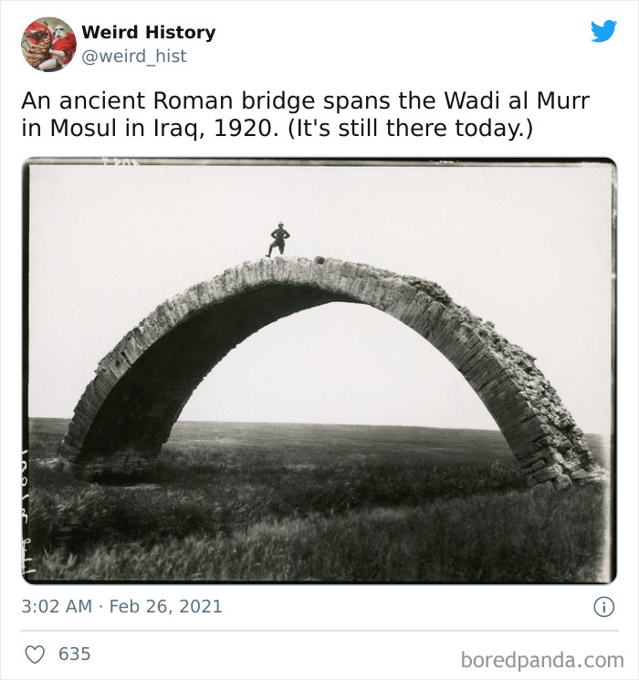 Interesting-Weird-History