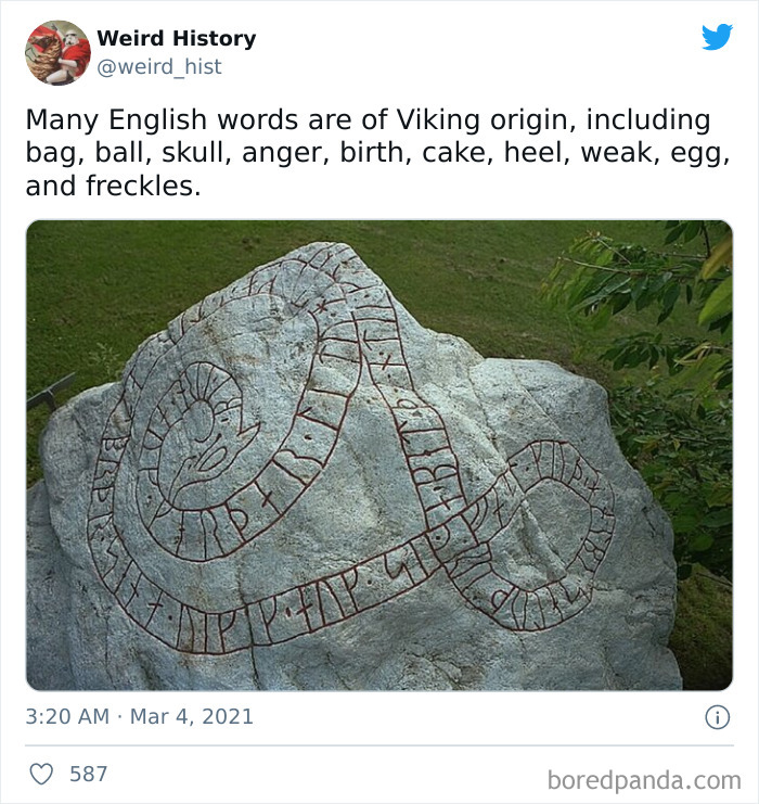 Interesting-Weird-History